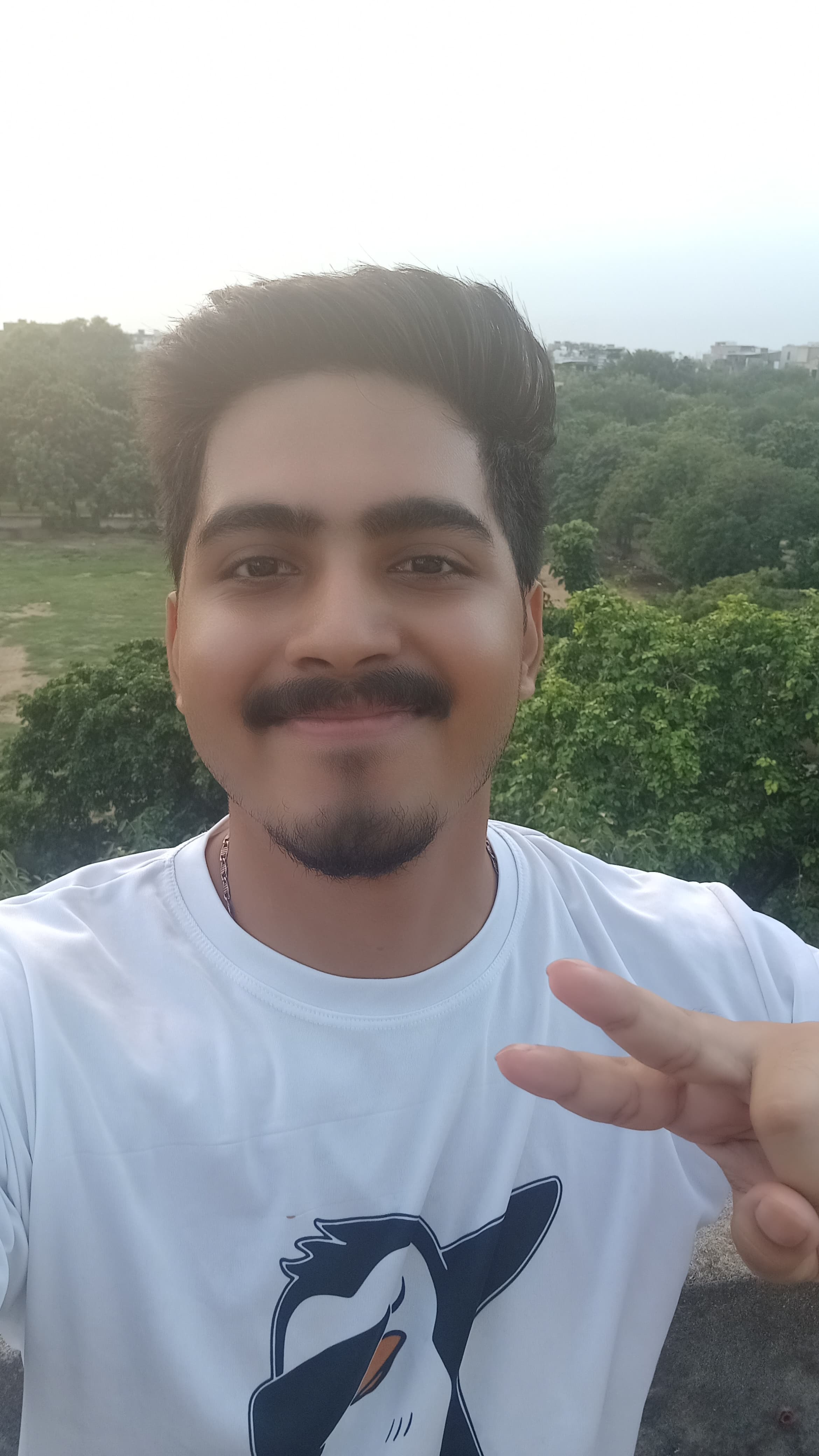 Creator Profile